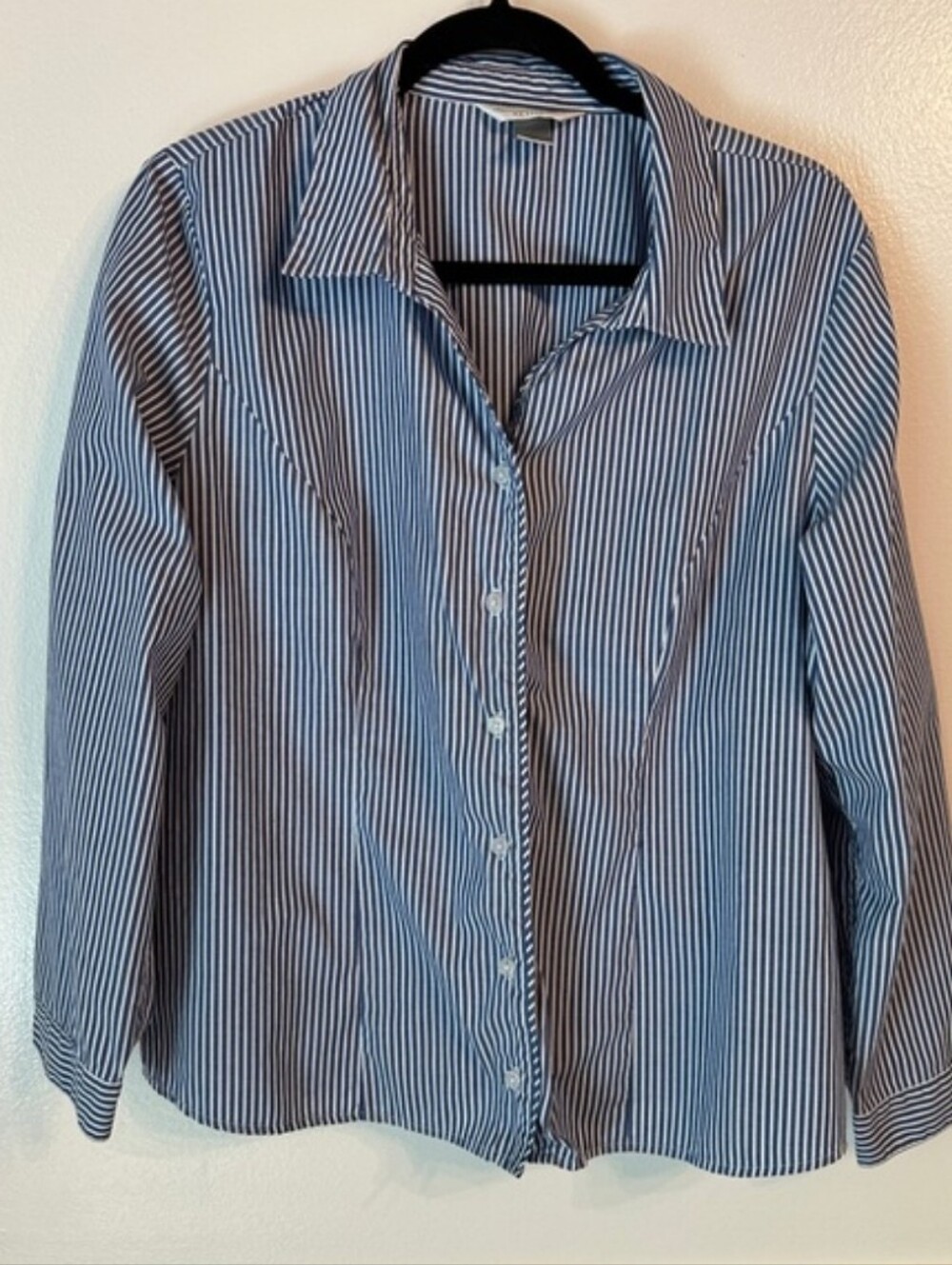 Christopher & Banks Blue and White Vertical Stripe Fitted Shirt